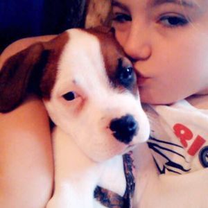 Meet your Posher, Autumn